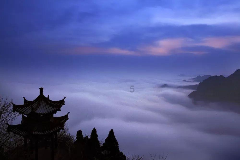 逃离棕榈树森林