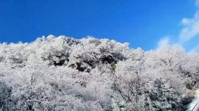 勇士防御战2
