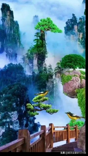 寻找奈良树花