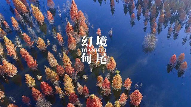 从零开始,到国家一等奖,本科发表SCI论文!她如何保研顶尖985?