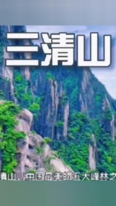集邮者的收藏
