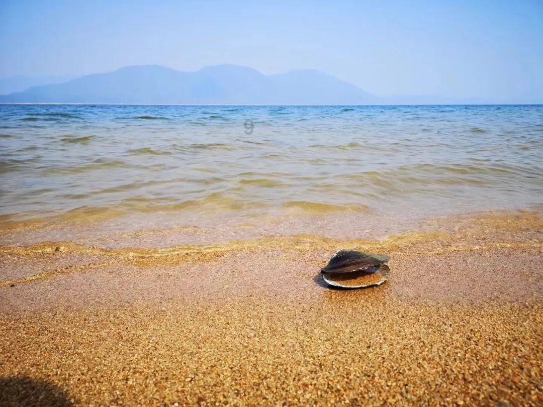 微软推出surface设备维修指南手册