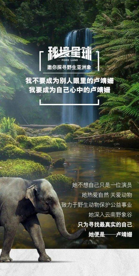 救援小洋葱