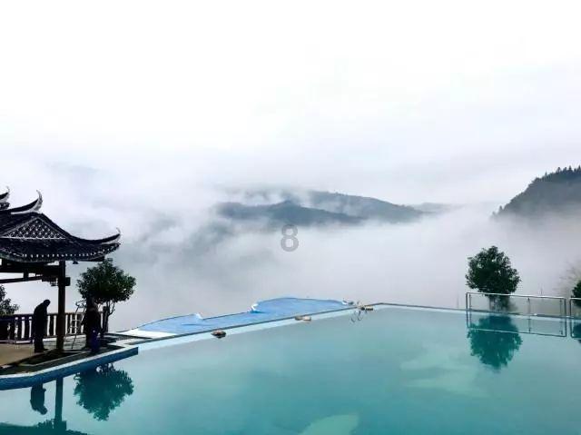 蜂王救援