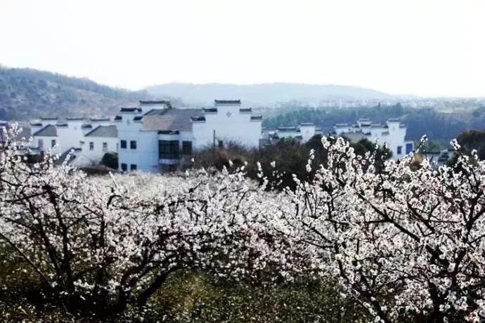 我要变长
