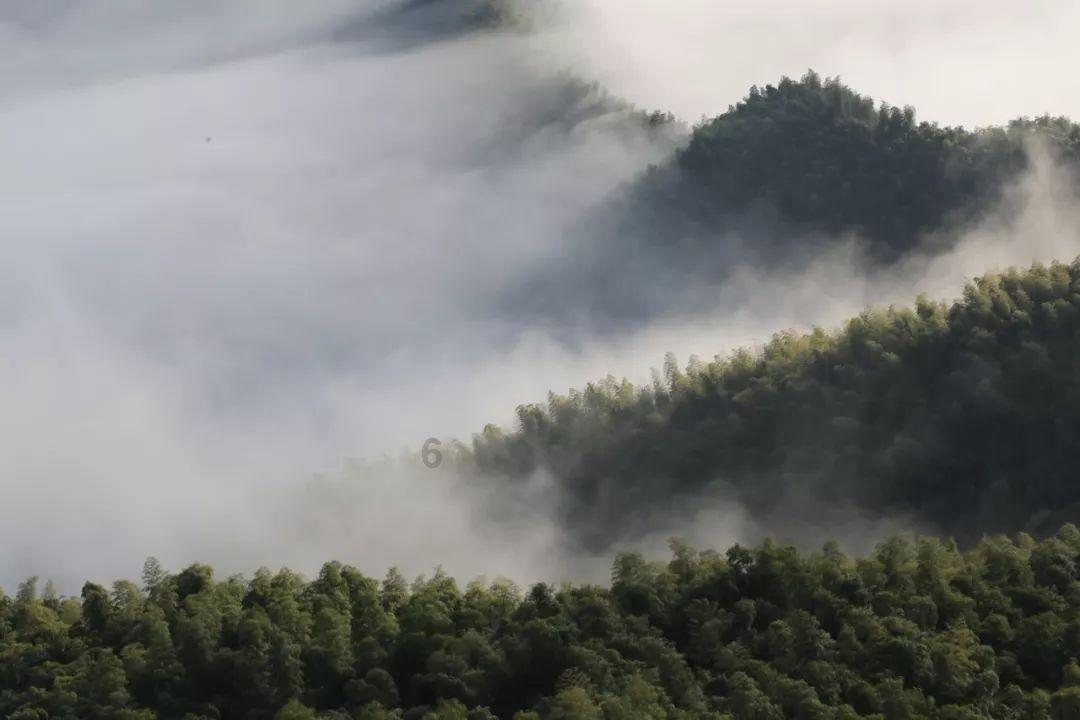 逃离马儿森林