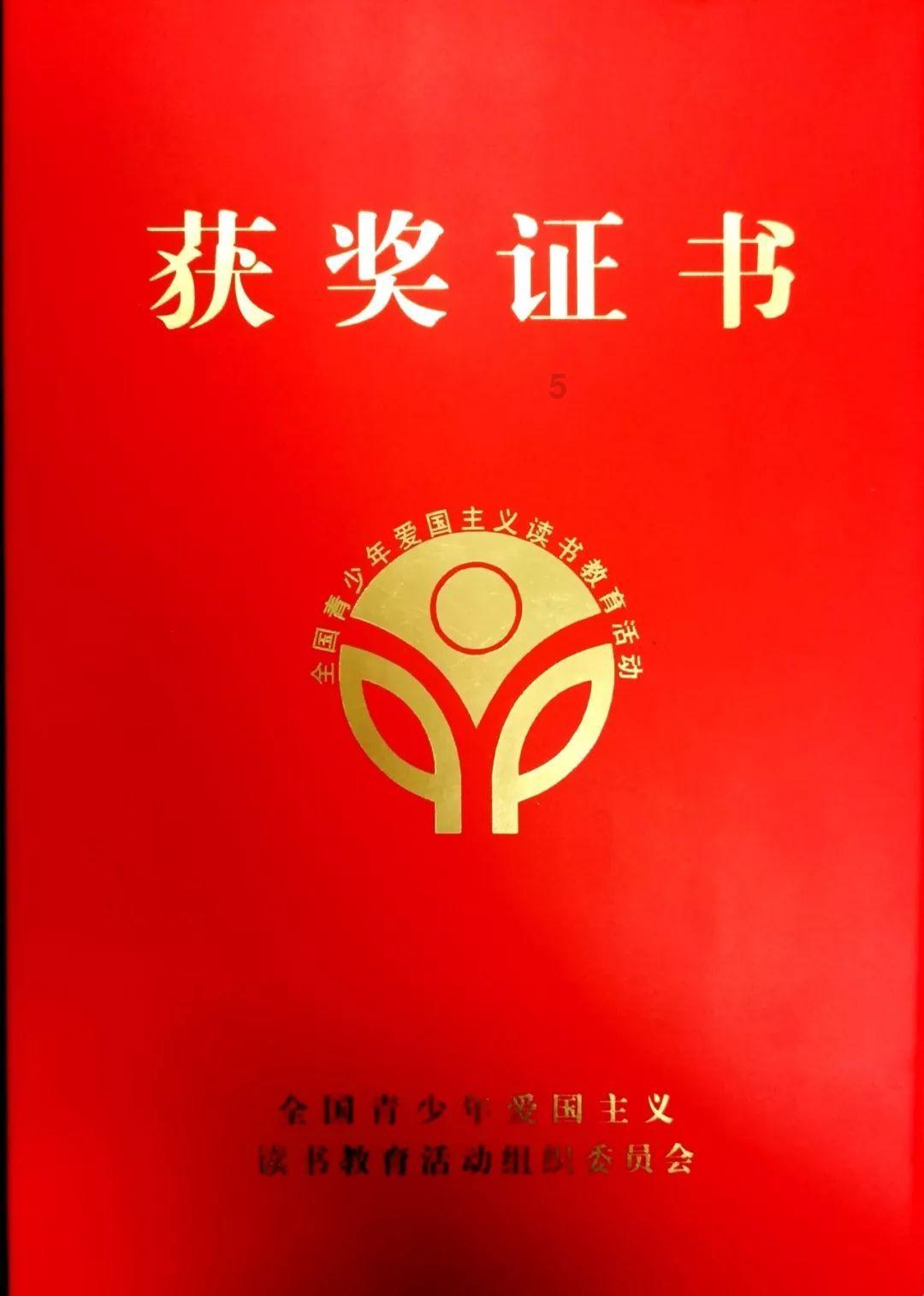 组装机械盔头龙2