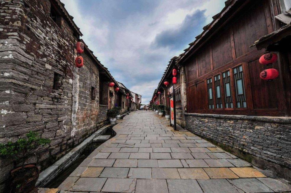 寻找沙漠珍宝