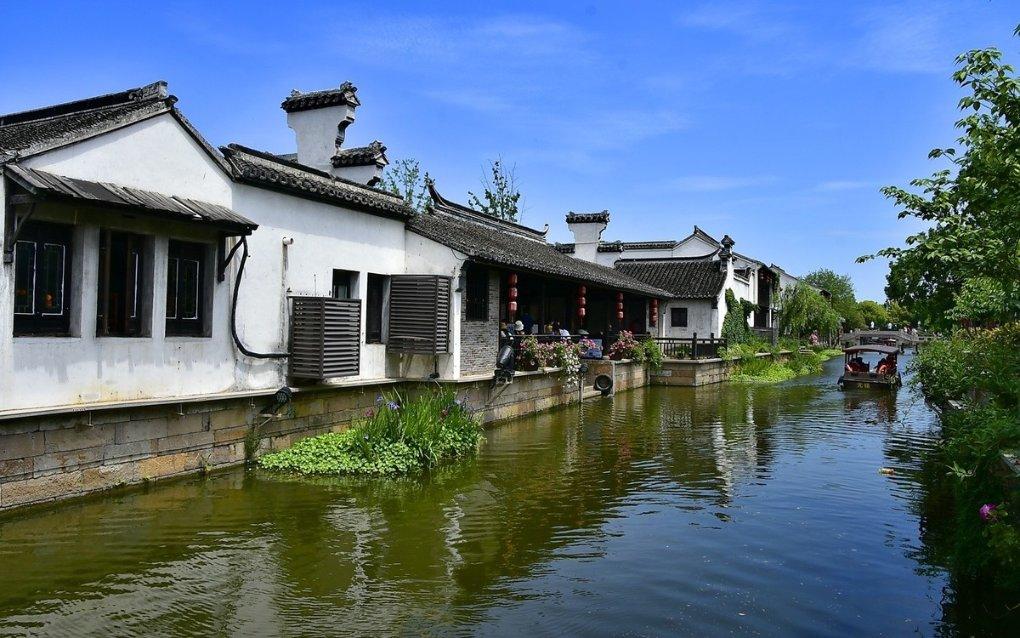 津彩南望 乐享文旅 津南区葛沽清水萝卜节启动