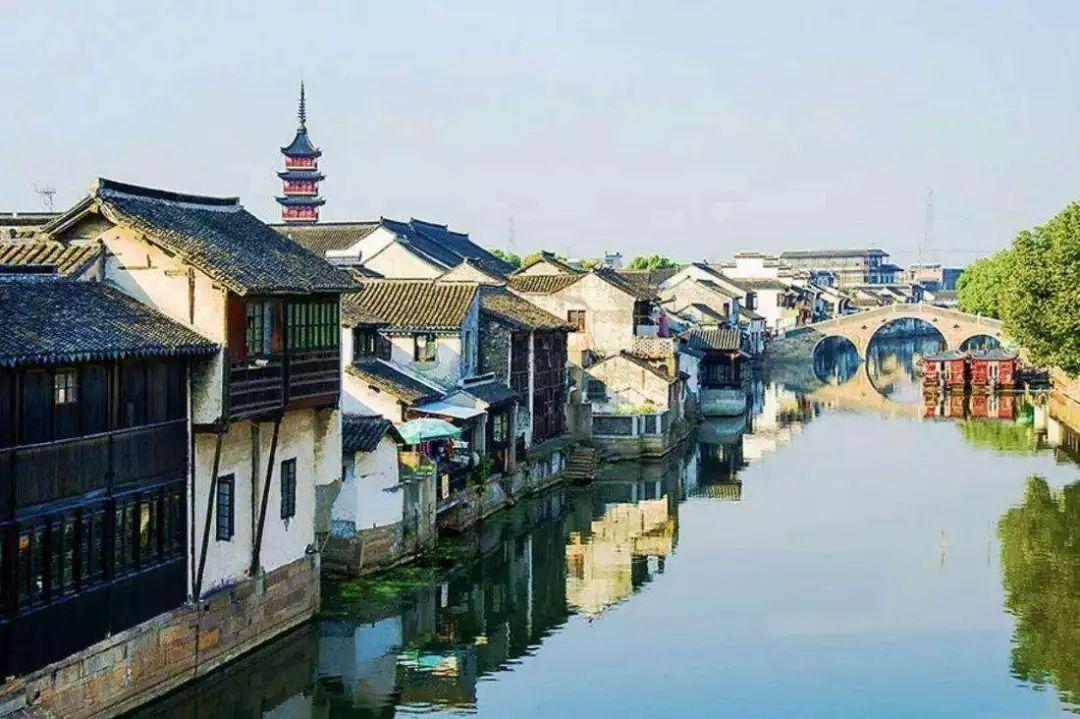 救援卡通小象